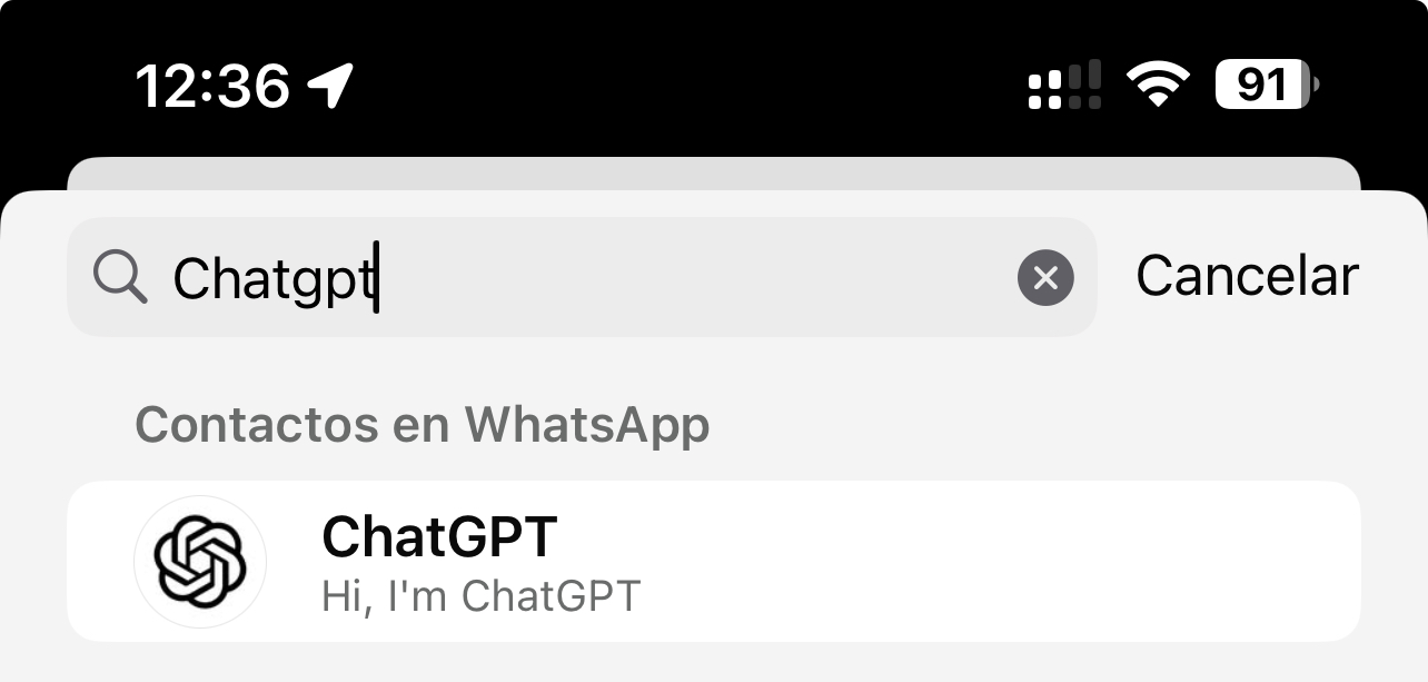 Créer une discussion avec ChatGPT sur WhatsApp