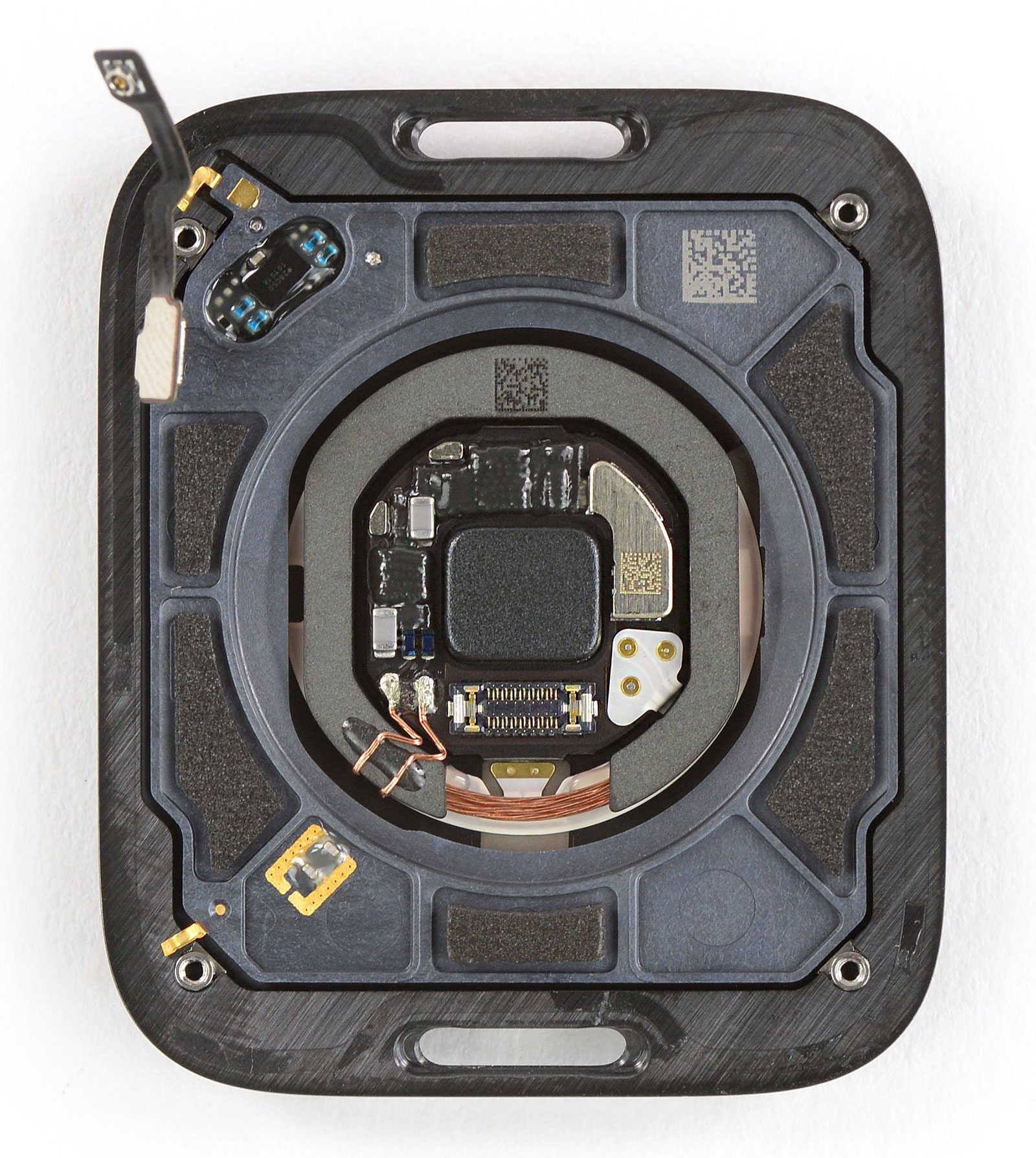 Apple Watch Series 6 à l'intérieur