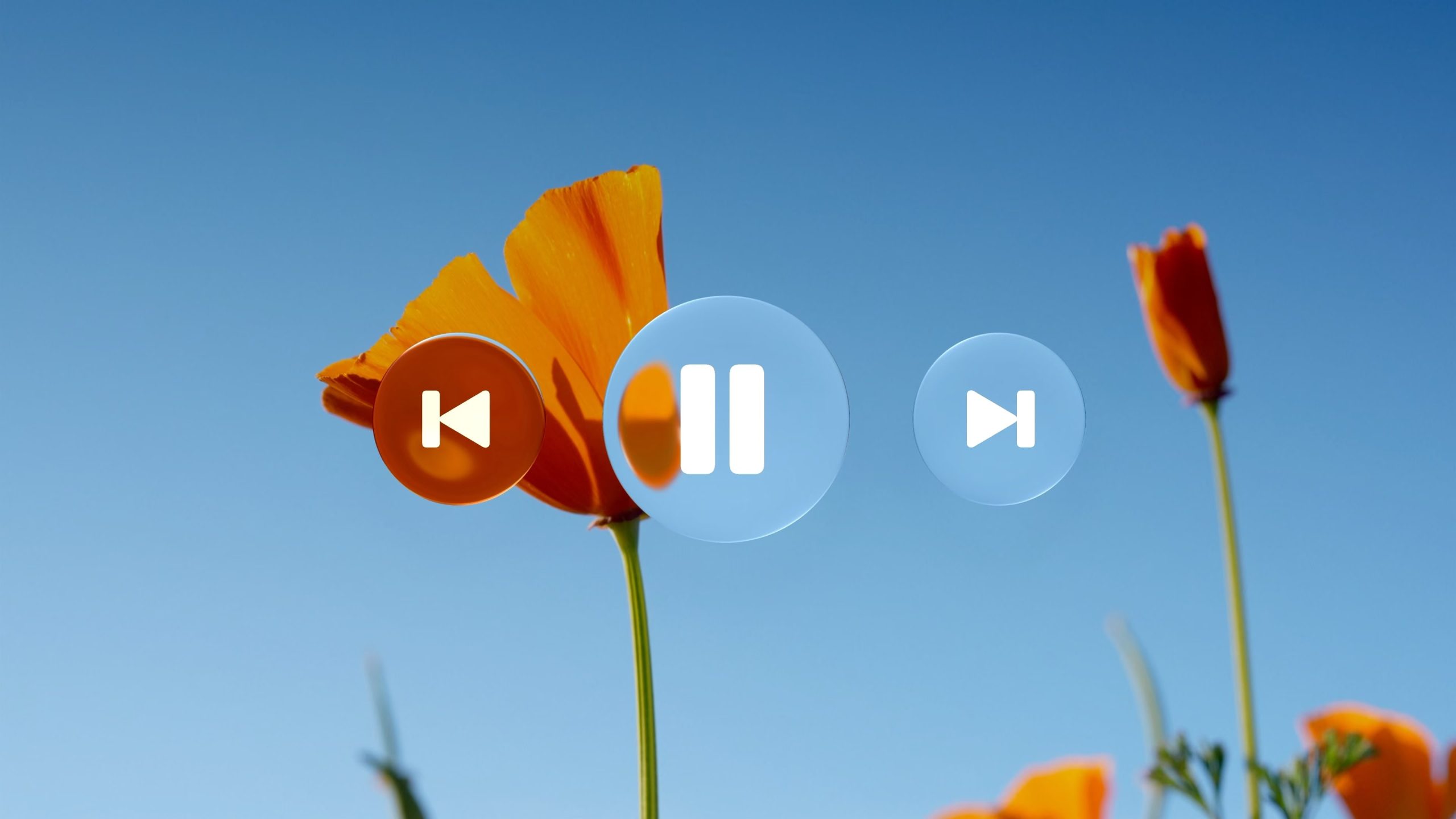 iOS 27 permettra de configurer le niveau de transparence de l'interface Liquid Glass