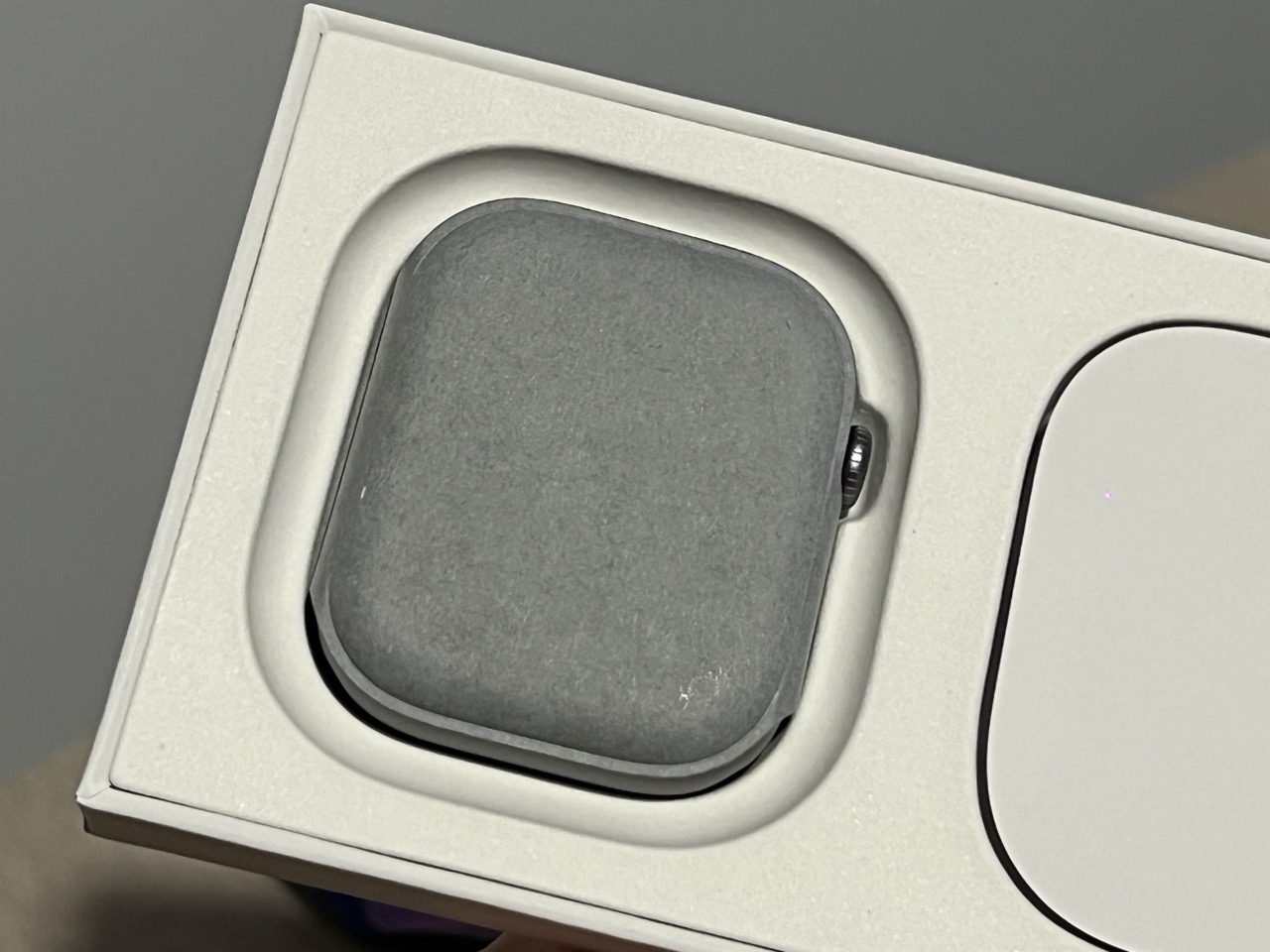 Apple Watch Series 11 en su funda