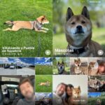 L'application Photos vous permet de créer des forums et des diaporamas vidéo personnalisés, avec un contrôle total sur chaque détail